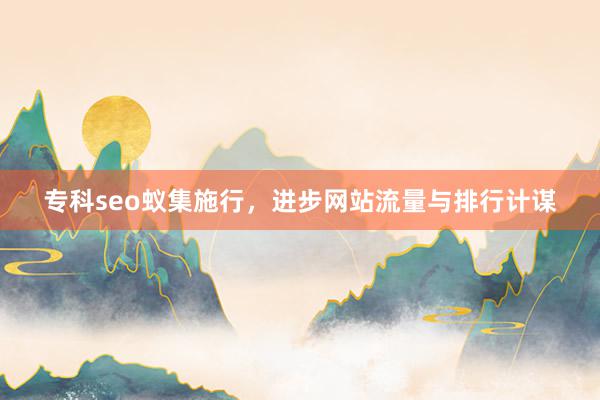 专科seo蚁集施行，进步网站流量与排行计谋