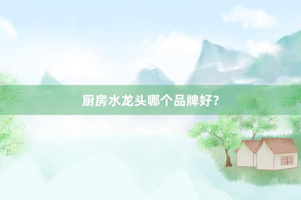 厨房水龙头哪个品牌好？